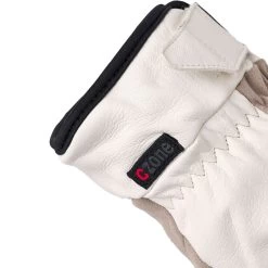 Hestra CZone Frame Mitten -Hestra Store BEI D4